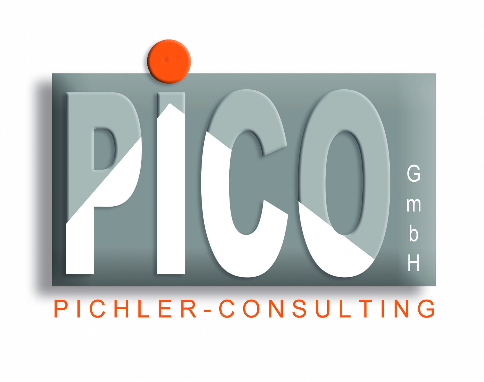 pichler-consulting GmbH